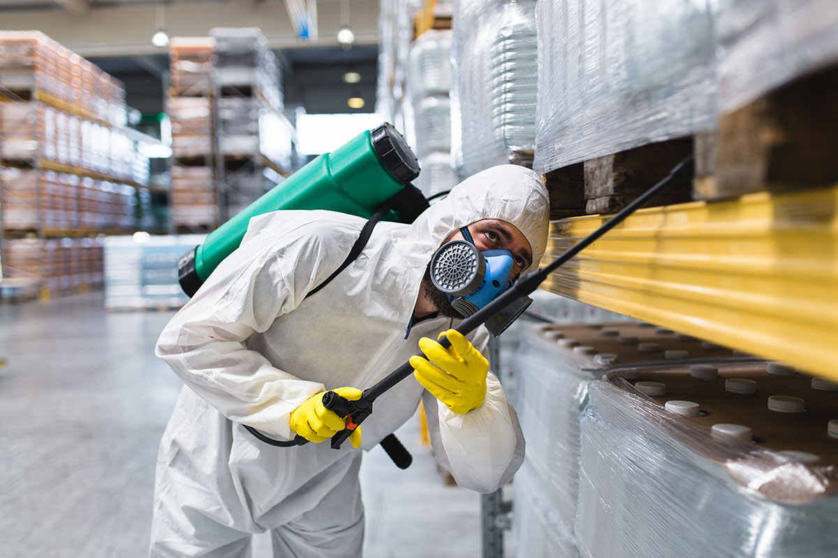 Pest Control Worker Hand Holding Sprayer For Spraying Pesticides
