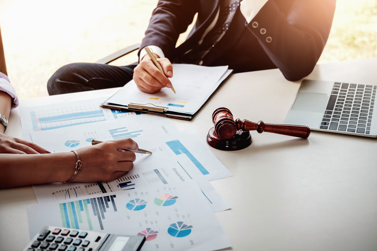 Litigation-Support